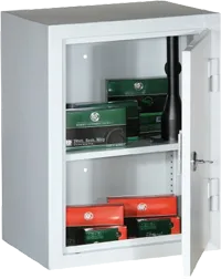 MNS